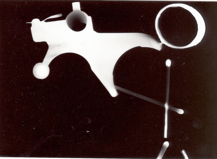 fotogram1.jpg
