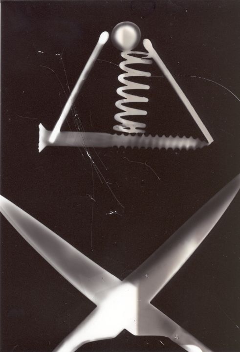 fotogram2.jpg