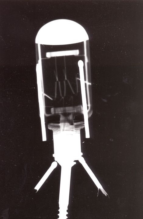 fotogram4.jpg