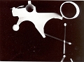fotogram1