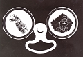 fotogram3