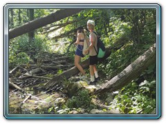 IMG_20250625_160307