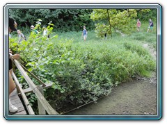 IMG_20250626_164028