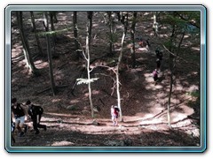 IMG_20250701_090249
